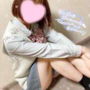 ヒメ日記 2026/03/18 08:50 投稿 ゆい 電車ごっこ