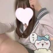 ヒメ日記 2024/12/26 08:34 投稿 るい みつらん鉄道