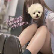 ヒメ日記 2025/06/22 09:10 投稿 るい みつらん鉄道