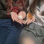 ヒメ日記 2025/11/11 07:14 投稿 るい みつらん鉄道