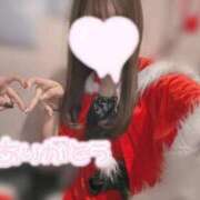 ヒメ日記 2025/12/26 18:24 投稿 るい みつらん鉄道