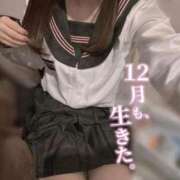 ヒメ日記 2025/12/31 08:24 投稿 るい みつらん鉄道