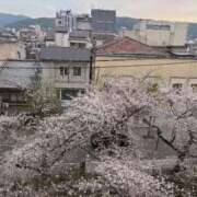 ヒメ日記 2026/04/04 10:14 投稿 るい みつらん鉄道