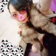 ヒメ日記 2025/03/27 00:14 投稿 さくらこ みつらん鉄道