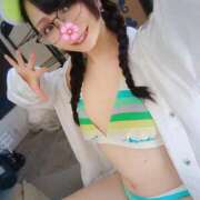 ヒメ日記 2025/06/16 11:44 投稿 さくらこ みつらん鉄道