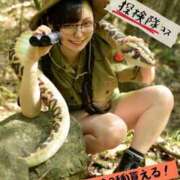 ヒメ日記 2025/07/15 13:44 投稿 さくらこ みつらん鉄道