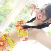 ヒメ日記 2025/08/23 11:54 投稿 さくらこ みつらん鉄道