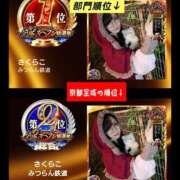 ヒメ日記 2025/11/12 16:44 投稿 さくらこ みつらん鉄道