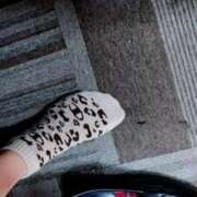 ヒメ日記 2026/02/01 21:17 投稿 さくらこ みつらん鉄道