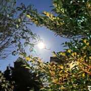 ヒメ日記 2024/12/17 16:01 投稿 れんか 丸妻 横浜本店