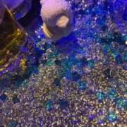 ヒメ日記 2025/04/26 17:17 投稿 れんか 丸妻 横浜本店