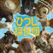 ヒメ日記 2026/07/03 07:52 投稿 りつ★ レースクィーン