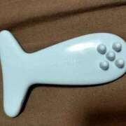 ヒメ日記 2025/10/03 11:02 投稿 華月～かげつ～ 愛知弥富ちゃんこ