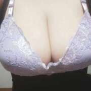 ヒメ日記 2025/12/29 15:21 投稿 華月～かげつ～ 愛知弥富ちゃんこ