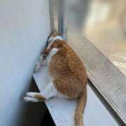 ヒメ日記 2025/04/05 13:33 投稿 ゆうひ シンデレラ【平均年齢20才、風俗未経験の娘が8割以上】