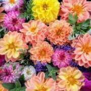 ヒメ日記 2025/01/23 11:28 投稿 杉野ともみ 五十路マダム 博多店