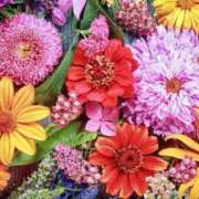 ヒメ日記 2025/04/08 18:17 投稿 杉野ともみ 五十路マダム 博多店