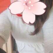 ヒメ日記 2025/04/15 18:17 投稿 杉野ともみ 五十路マダム 博多店