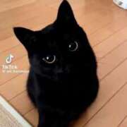 ヒメ日記 2025/04/17 13:07 投稿 杉野ともみ 五十路マダム 博多店