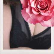 ヒメ日記 2025/08/15 10:41 投稿 杉野ともみ 五十路マダム 博多店