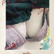 ヒメ日記 2025/10/08 14:47 投稿 杉野ともみ 五十路マダム 博多店