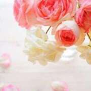 ヒメ日記 2025/10/11 10:57 投稿 杉野ともみ 五十路マダム 博多店