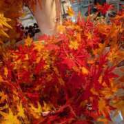 ヒメ日記 2025/10/30 15:37 投稿 杉野ともみ 五十路マダム 博多店