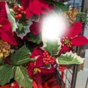 ヒメ日記 2025/11/12 12:07 投稿 杉野ともみ 五十路マダム 博多店