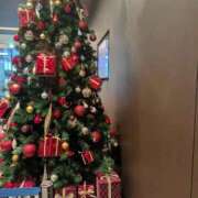 ヒメ日記 2025/11/13 13:47 投稿 杉野ともみ 五十路マダム 博多店