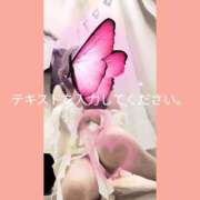 ヒメ日記 2026/06/29 14:57 投稿 杉野ともみ 五十路マダム 博多店