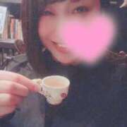 ヒメ日記 2024/12/12 23:18 投稿 高山 ANECOTE