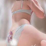 ヒメ日記 2024/12/15 06:45 投稿 高山 ANECOTE