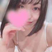 ヒメ日記 2024/12/20 06:58 投稿 高山 ANECOTE