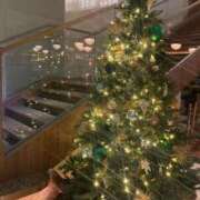 ヒメ日記 2024/12/20 22:36 投稿 高山 ANECOTE