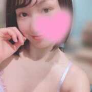 ヒメ日記 2024/12/27 06:45 投稿 高山 ANECOTE