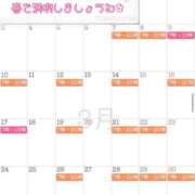 ヒメ日記 2025/02/19 06:53 投稿 高山 ANECOTE