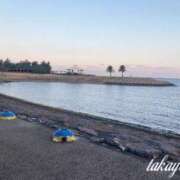 ヒメ日記 2025/02/26 18:02 投稿 高山 ANECOTE