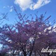 ヒメ日記 2025/03/09 21:30 投稿 高山 ANECOTE