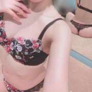 ヒメ日記 2025/03/17 06:54 投稿 高山 ANECOTE