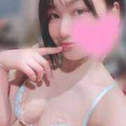 ヒメ日記 2025/03/19 06:54 投稿 高山 ANECOTE