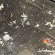 ヒメ日記 2025/03/19 22:31 投稿 高山 ANECOTE