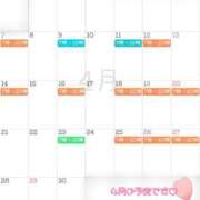 ヒメ日記 2025/03/24 19:31 投稿 高山 ANECOTE