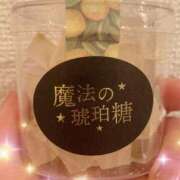 ヒメ日記 2025/04/01 21:02 投稿 高山 ANECOTE