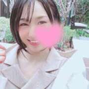 ヒメ日記 2025/04/04 06:45 投稿 高山 ANECOTE