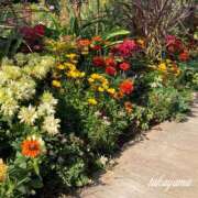 ヒメ日記 2025/04/04 22:02 投稿 高山 ANECOTE