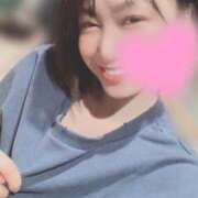 ヒメ日記 2025/04/06 06:46 投稿 高山 ANECOTE