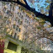 ヒメ日記 2025/04/08 21:31 投稿 高山 ANECOTE