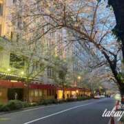 ヒメ日記 2025/04/14 23:02 投稿 高山 ANECOTE