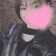 ヒメ日記 2025/04/16 06:45 投稿 高山 ANECOTE