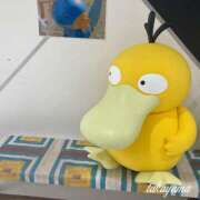 ヒメ日記 2025/04/19 22:30 投稿 高山 ANECOTE